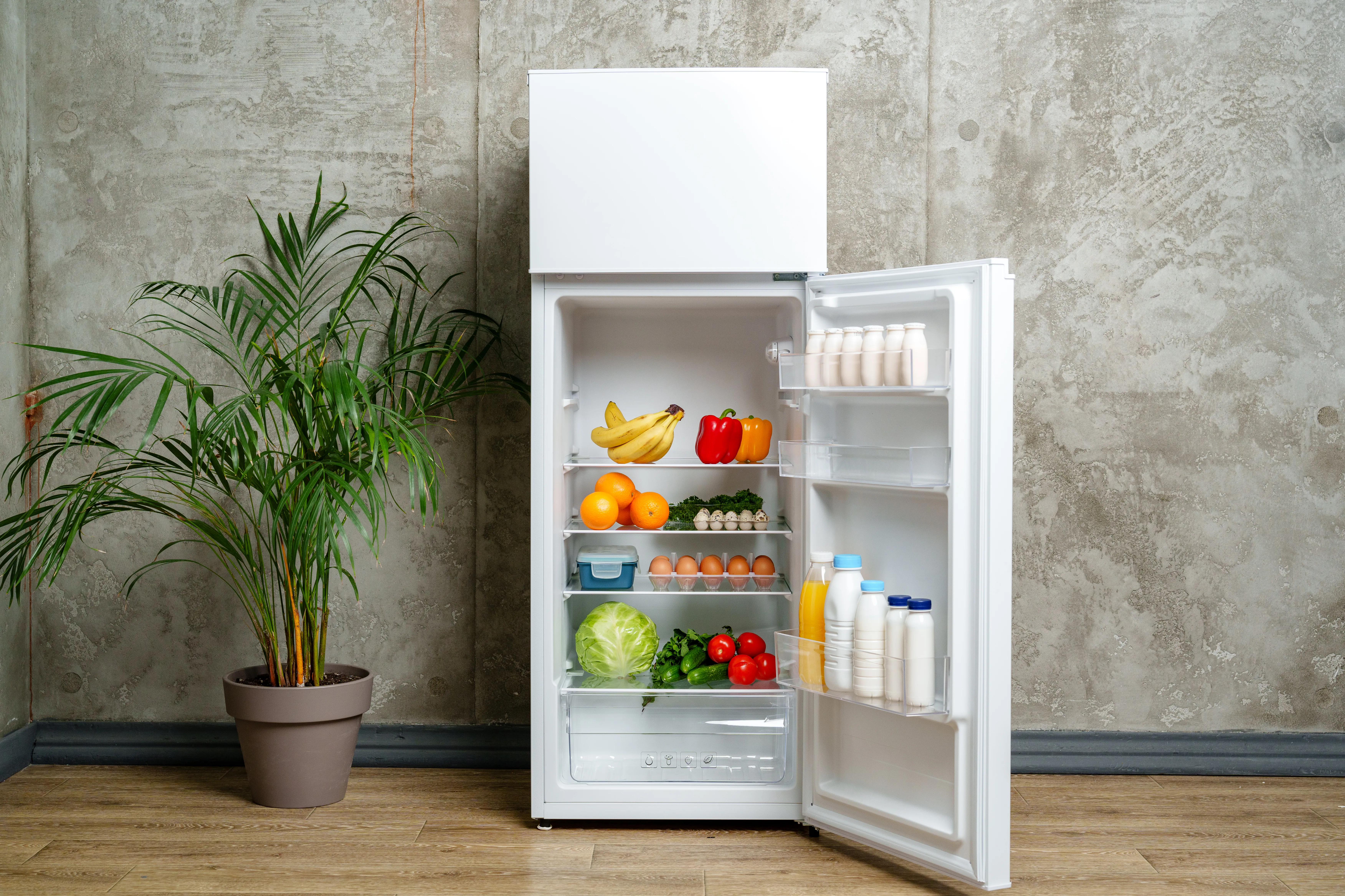 Refrigerator repair in Palm Coast